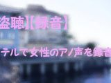 【盗聴】ホテルで女性のアノ声（あえぎ声）を録音した⑥&nbsp;
