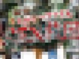 潜入SEX教団⁉