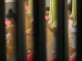今は女子大生。ダメだとわかっていても我慢できず、清楚で可愛い妹で抜いてしまう最低の兄
