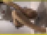 4023／「裏切り撮り・キャンちゃん危機一髪化作戦（68）」