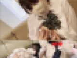 【おっぱい痴漢34後編】さらに脱がされイタズラされ、乳首を執拗に責められるトップアイドル級レイちゃんwww生マンも…