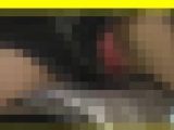 5033／「偽装撮り・キャンちゃん私家盤コレクション（45）」