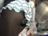 ローアンキャンギャルコレクション482
