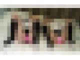 【画像】元気もりもりガールズのお写真