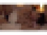 厳選 巨乳・爆乳 人妻スペシャル！File.4