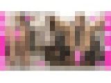 【半額】狼狽えて泣き出しそう！言いなり！断れない偏差値40の激カワ超チビロミちゃんは中出しヤリ捨て決定！嫌がっても鬼放出映像