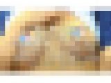 18歳し●くちゃん成長記録10猛暑の影響で衣装からのはみ毛がお見苦しくて申し訳ございませんｗお詫びに分裂乳頭をお届けいたしますｗ