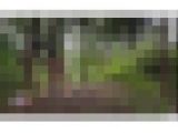 マイクロビキニ水着で露出プレイ