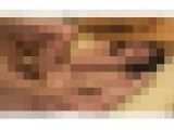 僕の彼女は４０代の人妻！File.2