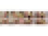 有栖舞衣の足裏フェチシリーズ1〜2まとめてDL
