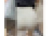 《エッチな下着のラインが！上品な雰囲気の美人OL》