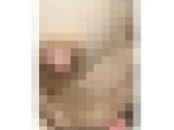 【家庭内XX】妻のEカップおっぱいぷるぷるん！アップで隠し撮り★