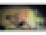 ラブホ素人カップル完全ガチ盗● 性行為映像裏流出！File.1