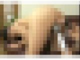 若くて固いチ○ポを目の前にして、生挿入で熱く燃え上がり絶頂を迎えてしまう奥様たち　Part 1