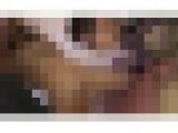 パイパン素人おさな妻２穴依頼○教　２　Part 2