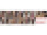 【特典動画２本付】赤名いとのエロい舌シリーズ1〜7まとめてDL