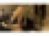 HDC Produce ガチ恋させ系美女ミラ様のＭ男唾かけ靴コキ