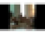 堅物の妻を他人に寝とらせたら私の知らないド淫乱女だった！File.1